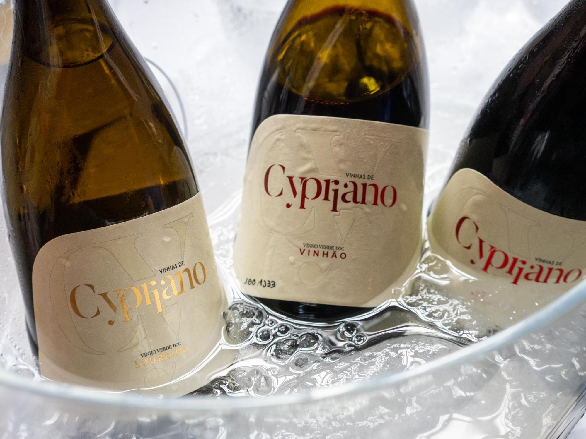 Quinta De Cypriano - Wine & Nature Ponte da Barca Exteriör bild