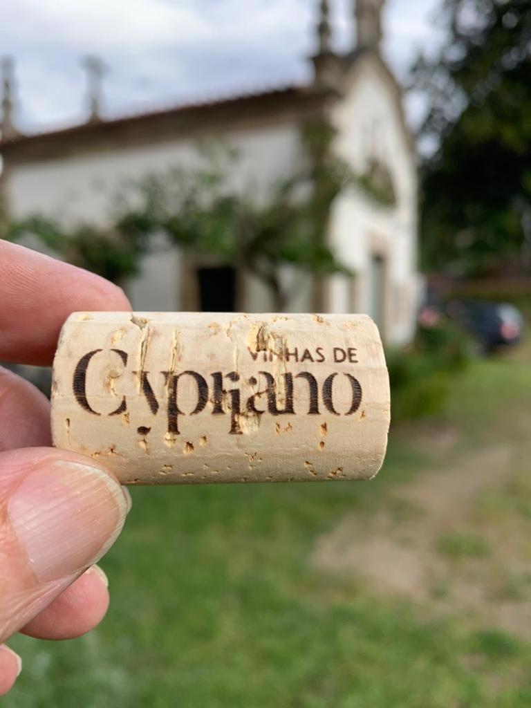 Quinta De Cypriano - Wine & Nature Ponte da Barca Exteriör bild