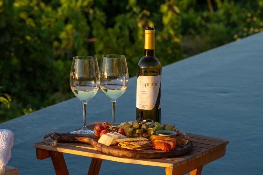 Quinta De Cypriano - Wine & Nature Ponte da Barca Exteriör bild